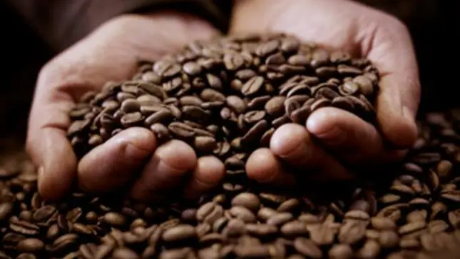 Marcas de café en Perú - Qué café exporta Perú marcas de cafe en peru - Qué café exporta Perú