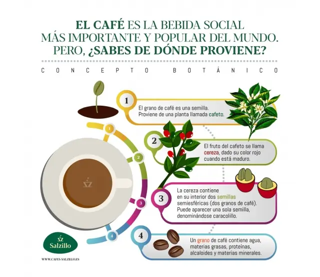características del cultivo de café - Qué características debe tener el suelo para el cultivo del café