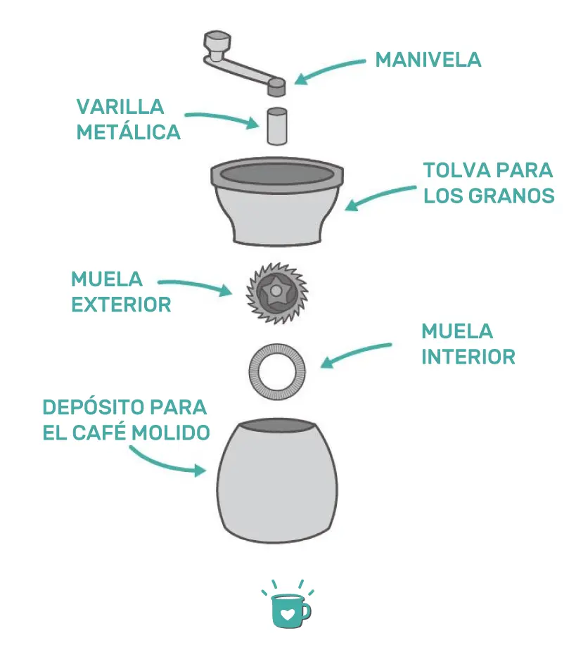 Partes de un molinillo de café - Qué características tiene el molino partes de un molinillo de café - Qué características tiene el molino