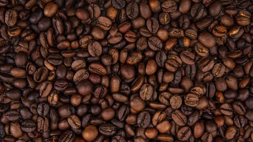 efectos secundarios del cafe en el cabello - Qué contiene el café para el cabello