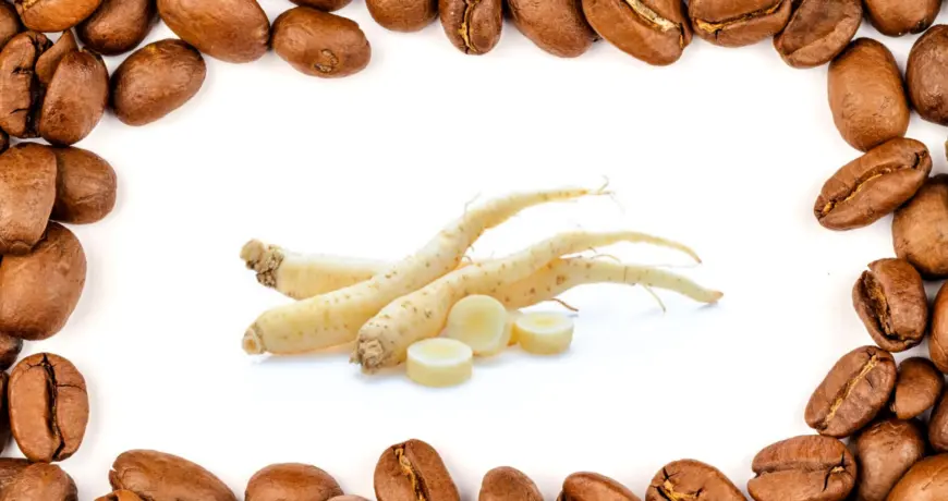 Beneficios del café con ginseng - Qué contraindicaciones tiene el ginseng cafe con ginseng beneficios - Qué contraindicaciones tiene el ginseng