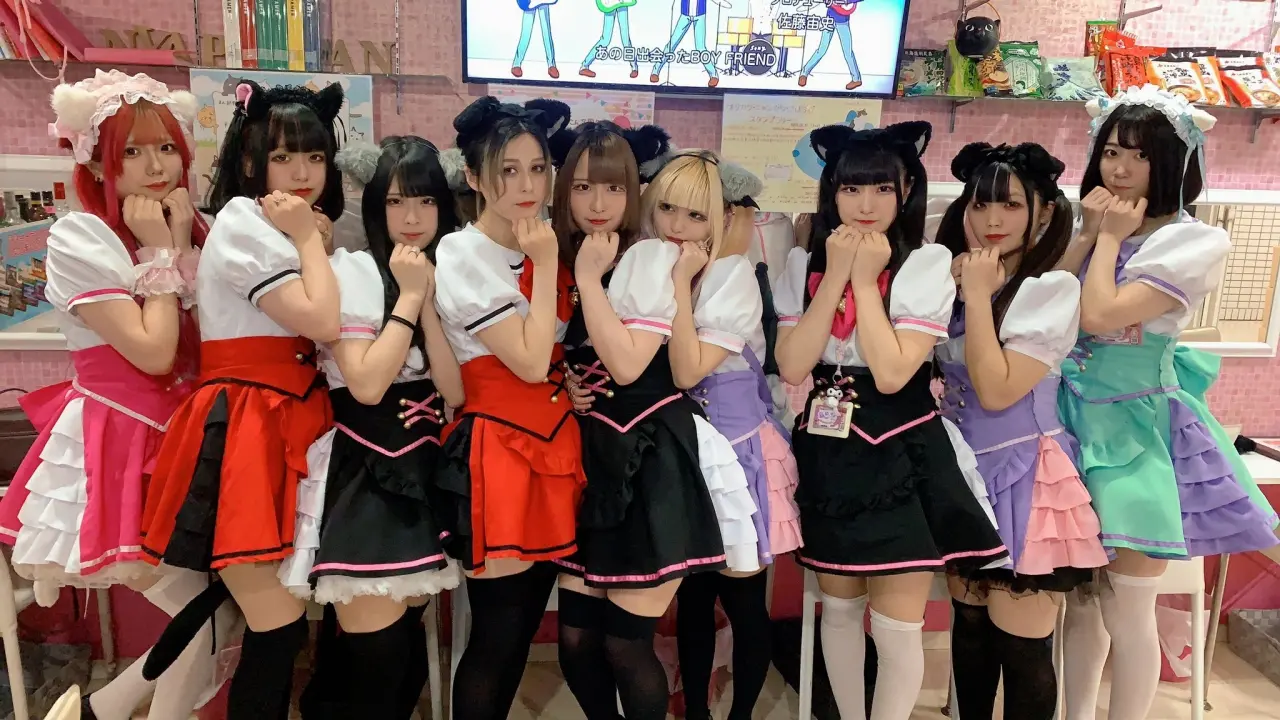 Maid Café: Una Experiencia Única en Japón - Qué dicen las maids maid cafe - Qué dicen las maids