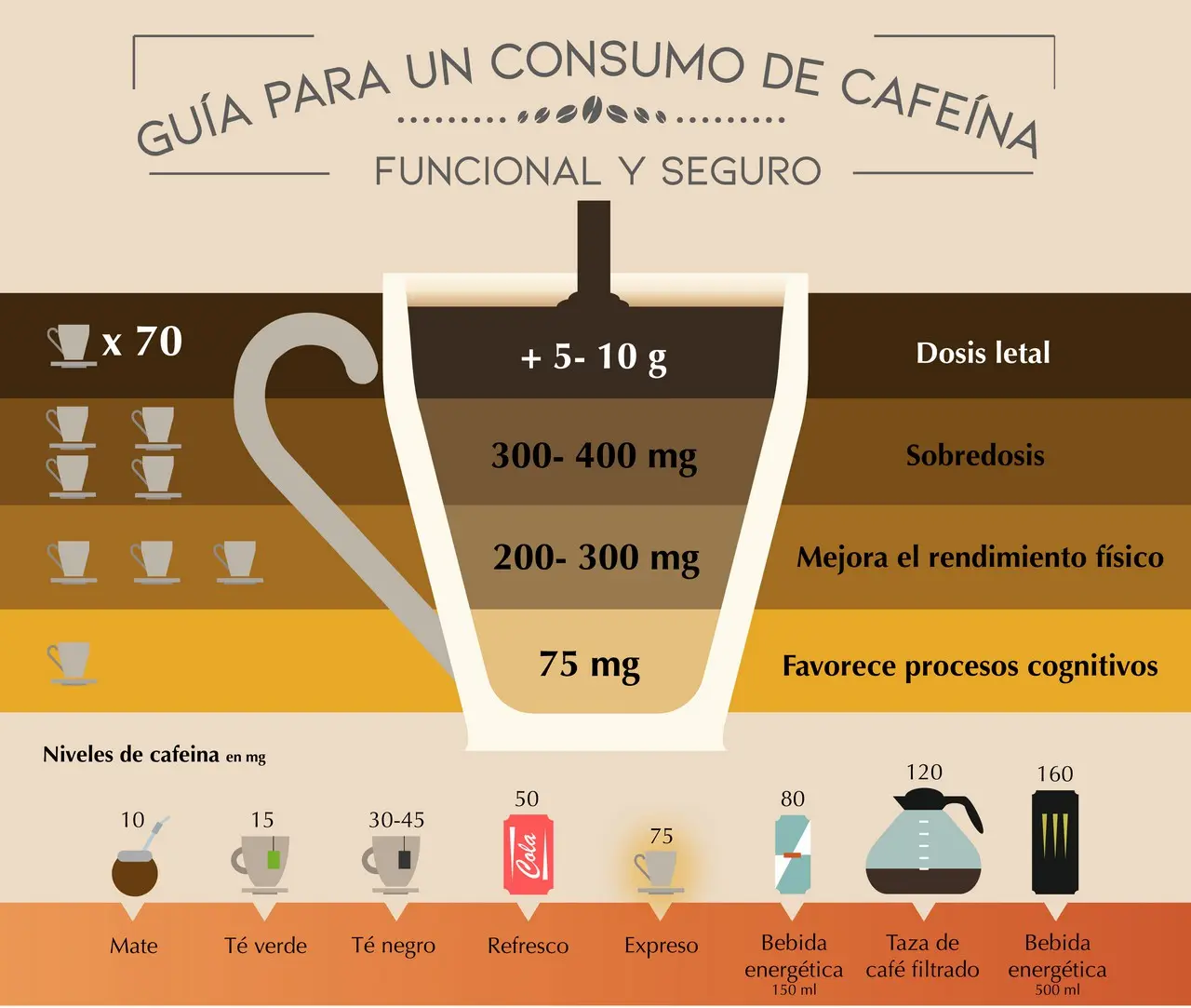 efectos del cafe - Qué efectos tiene el café en el cerebro