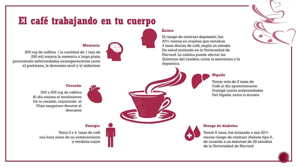 beneficios cafe - Qué es el beneficio de café