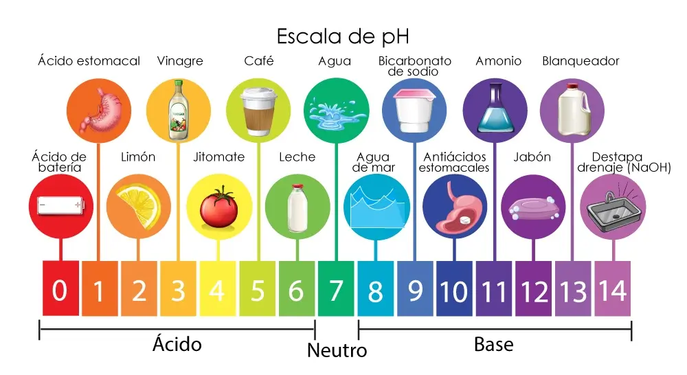 cafe es acido o base - Qué es el café ácido o base