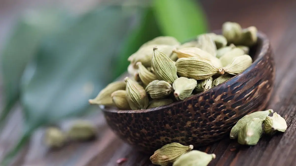 beneficios del cardamomo en el cafe - Qué es el cardamomo en el café