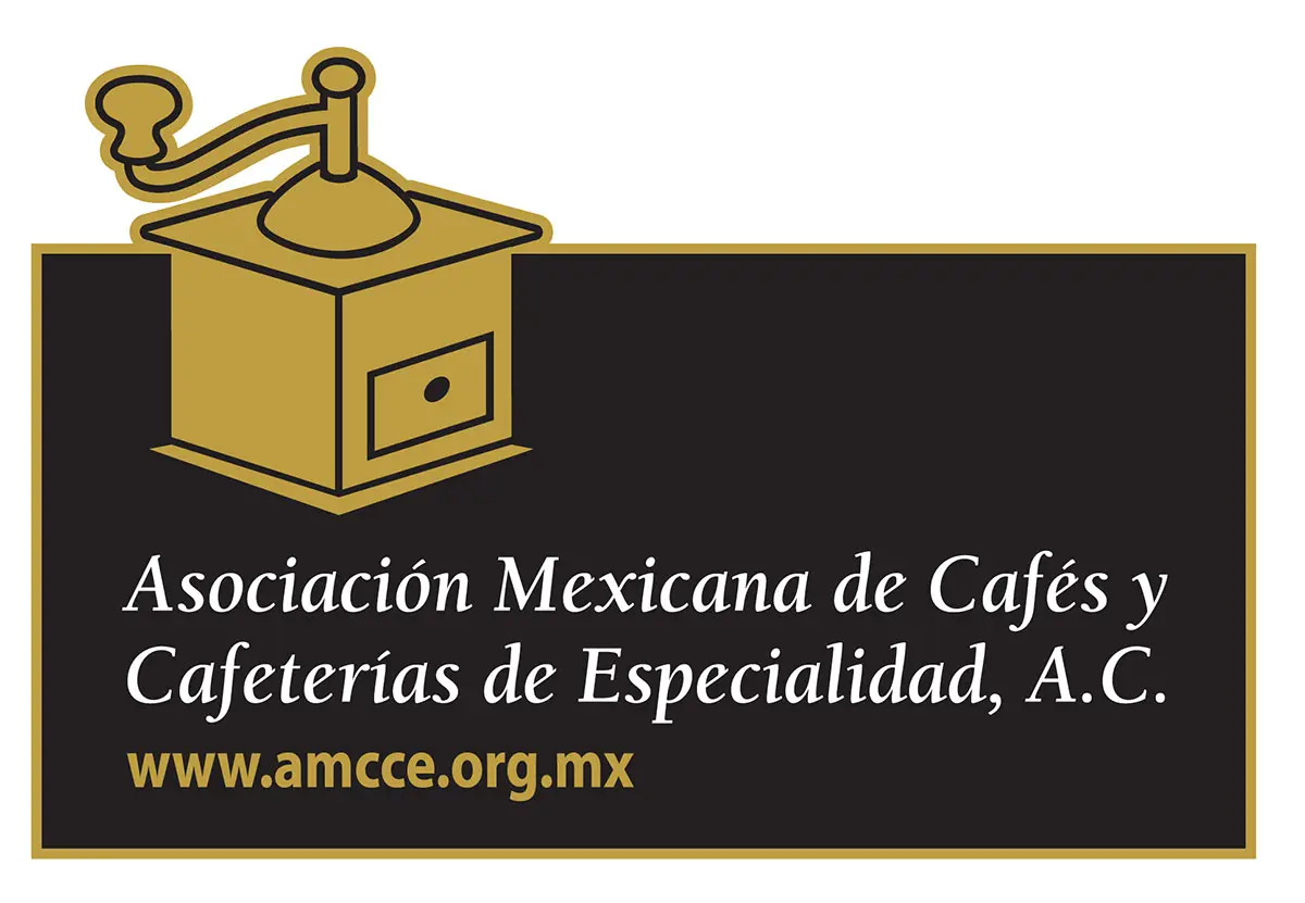 asociacion de cafe de especialidad - Qué es la certificación SCA