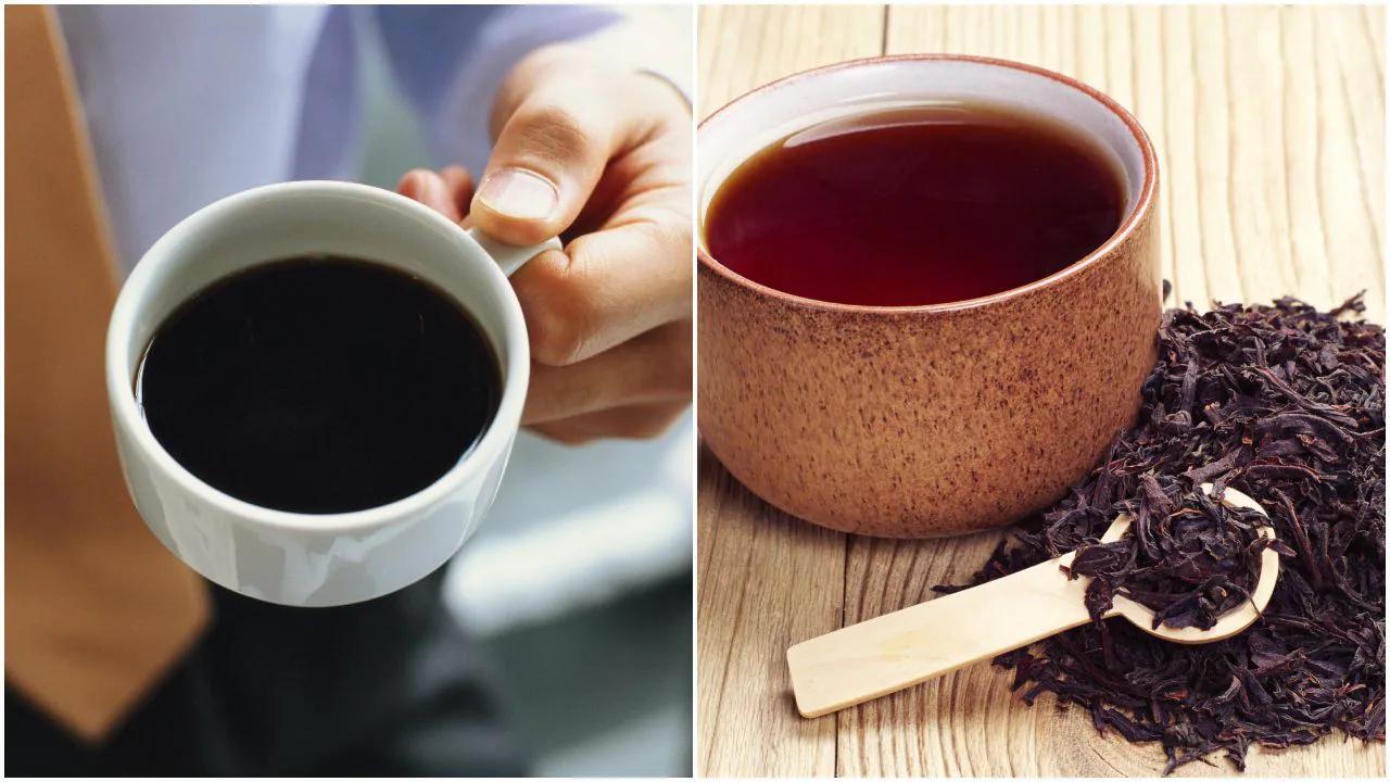 te negro o cafe - Qué es más saludable el té negro o el café