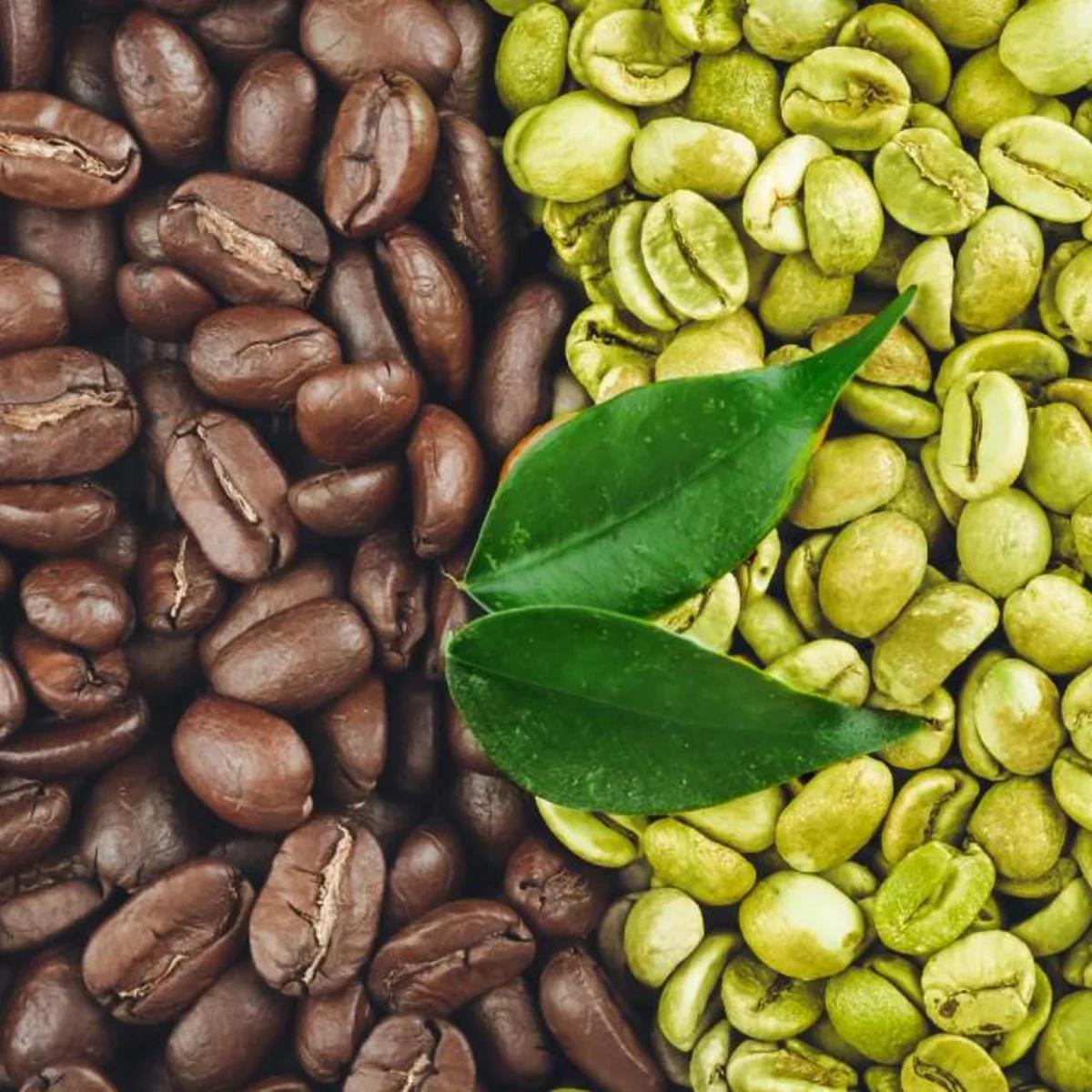 Café verde sin cafeína: propiedades y beneficios - Qué es mejor el té verde con cafeína o sin cafeína cafe verde sin cafeina propiedades - Qué es mejor el té verde con cafeína o sin cafeína