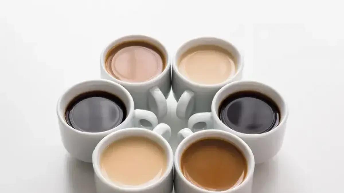 cafe o te que es mejor - Qué es mejor tomar té o café por la mañana
