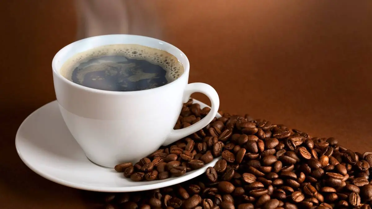 Qué es un buchito de café - Qué es un buchito buchito de cafe - Qué es un buchito