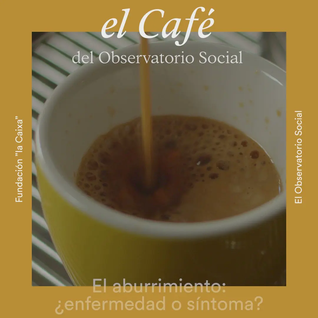 el cafe del observatorio social - Qué es un observatorio en ciencias sociales