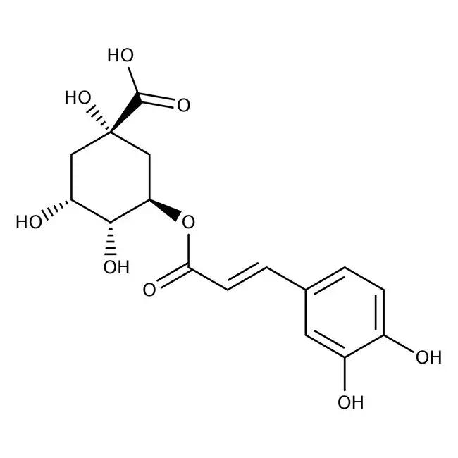 acido clorogenico cafe - Qué es y para qué sirve el ácido cafeico