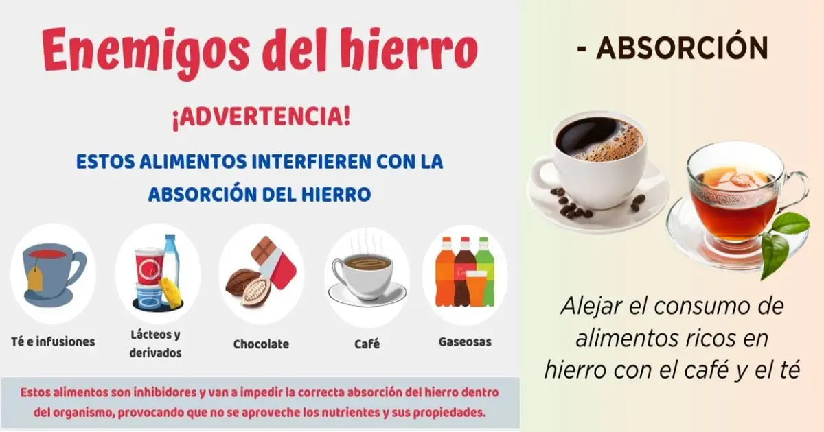 El Café y su Relación con la Absorción de Hierro - Qué factores alteran la absorción de hierro el cafe impide la absorcion de hierro - Qué factores alteran la absorción de hierro