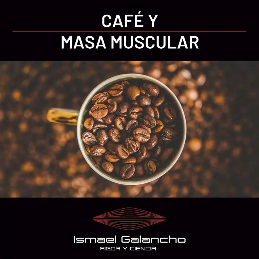 El café y su influencia en el crecimiento muscular - Qué frena el crecimiento muscular el café afecta el crecimiento muscular - Qué frena el crecimiento muscular