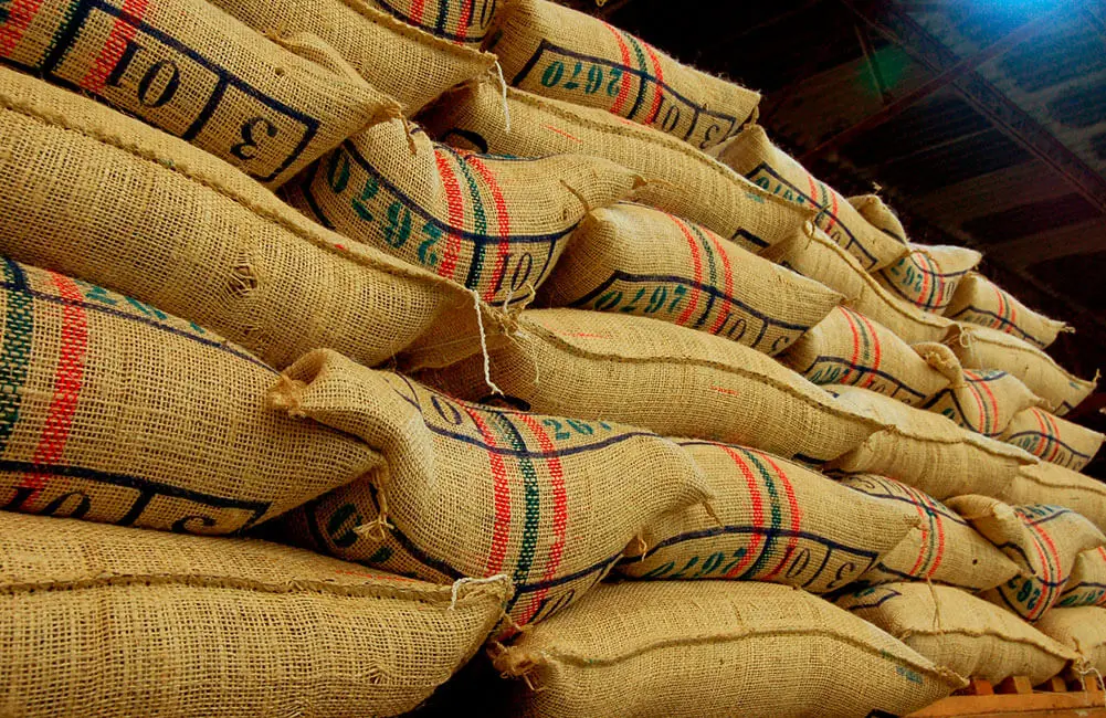 Café Federación Nacional de Cafeteros: Protegiendo la calidad y el origen del café colombiano - Qué hace FNC café federación nacional de cafeteros - Qué hace FNC