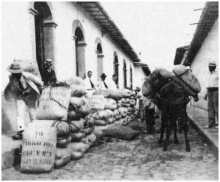 El Café en Colombia: Historia y Significado - Qué importancia tuvo el café para la economía colombiana el cafe en colombia historia - Qué importancia tuvo el café para la economía colombiana