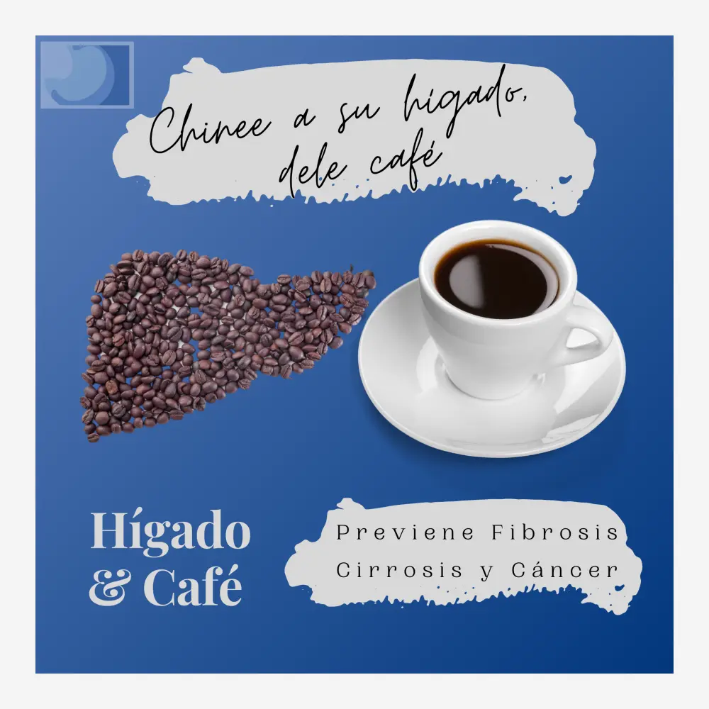 el cafe afecta el higado - Que le hace el café al hígado