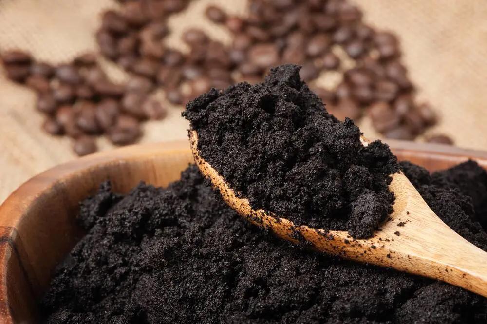 como abonar las plantas con cafe - Que le hace la borra de café a las plantas