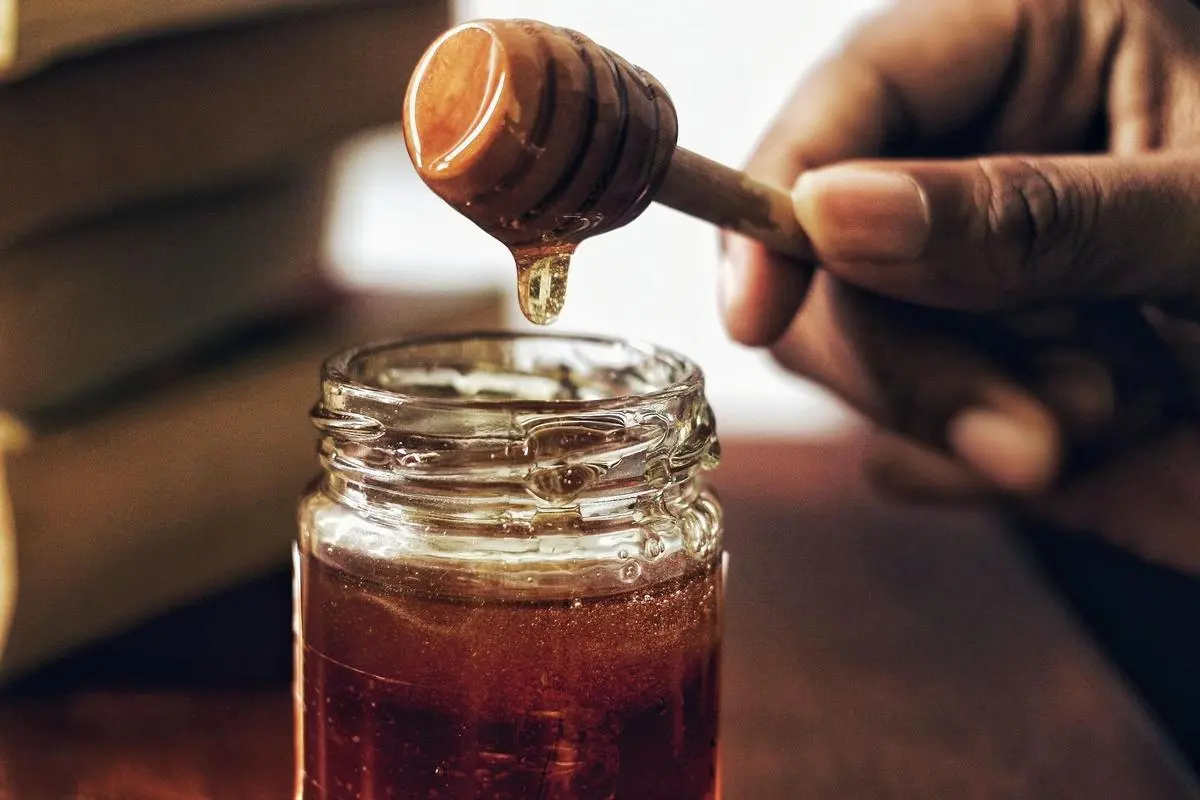 el café con miel engorda - Qué le pasa al cuerpo si comes miel todos los días