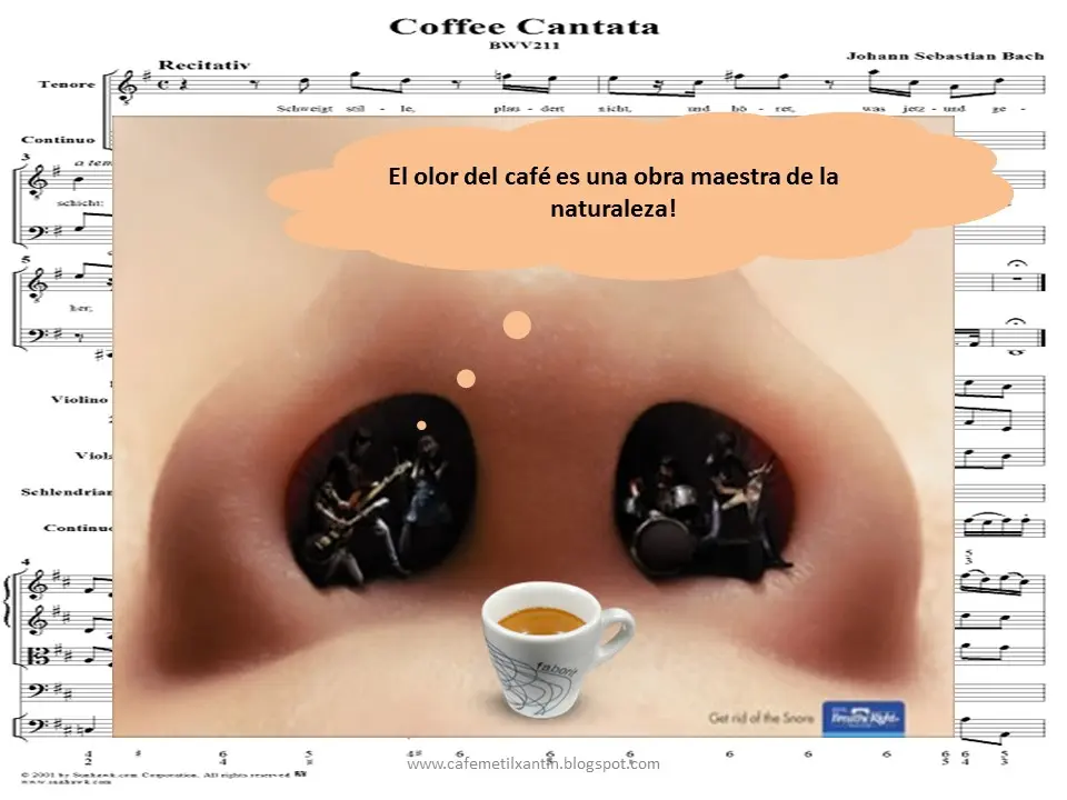 A qué huele el café: los aromas del café molido - Qué olor tiene el café molido a que huele el cafe - Qué olor tiene el café molido