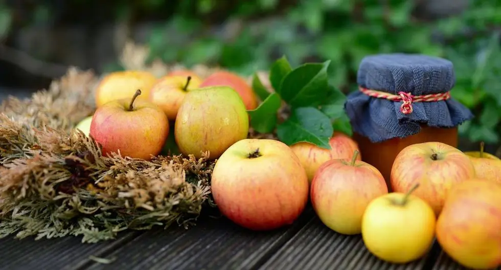 la manzana despierta mas que el cafe - Qué pasa si como una manzana al despertar