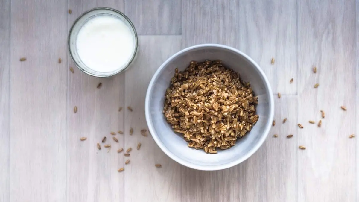 café con leche de avena engorda - Qué pasa si tomo leche de avena todos los días