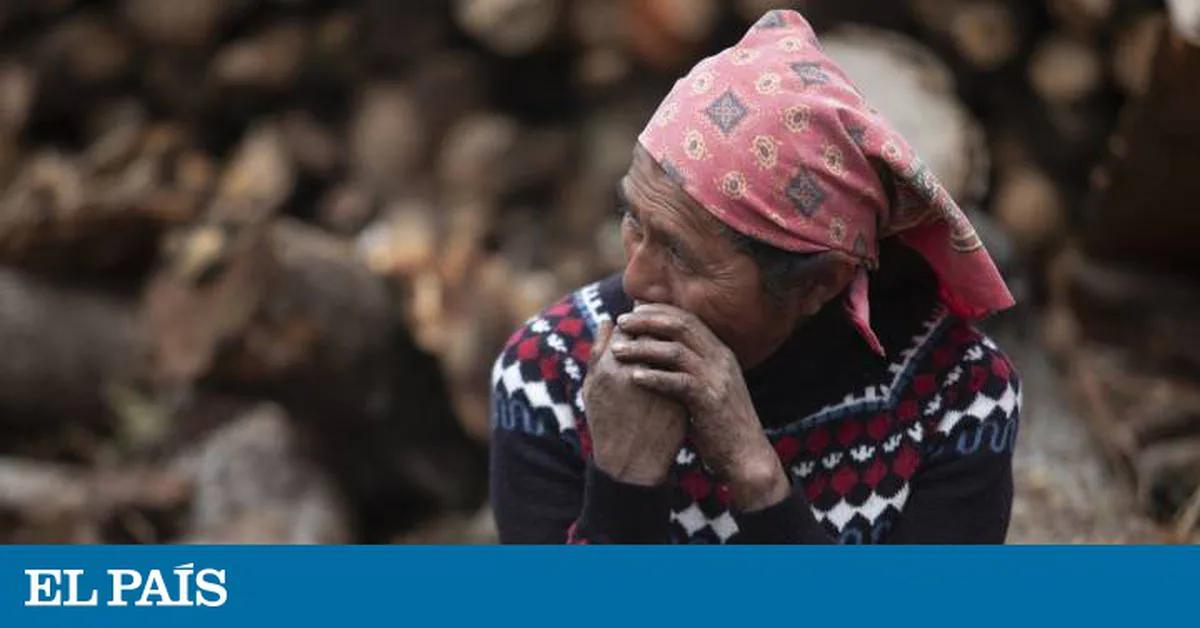 crisis del café - Qué pasó con el Instituto Mexicano del Café