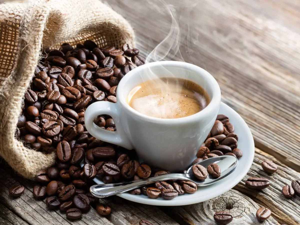 El café y su relación con las bacterias en el intestino grueso - Que producen las bacterias en el intestino grueso café bacterias ntestino grueso - Que producen las bacterias en el intestino grueso
