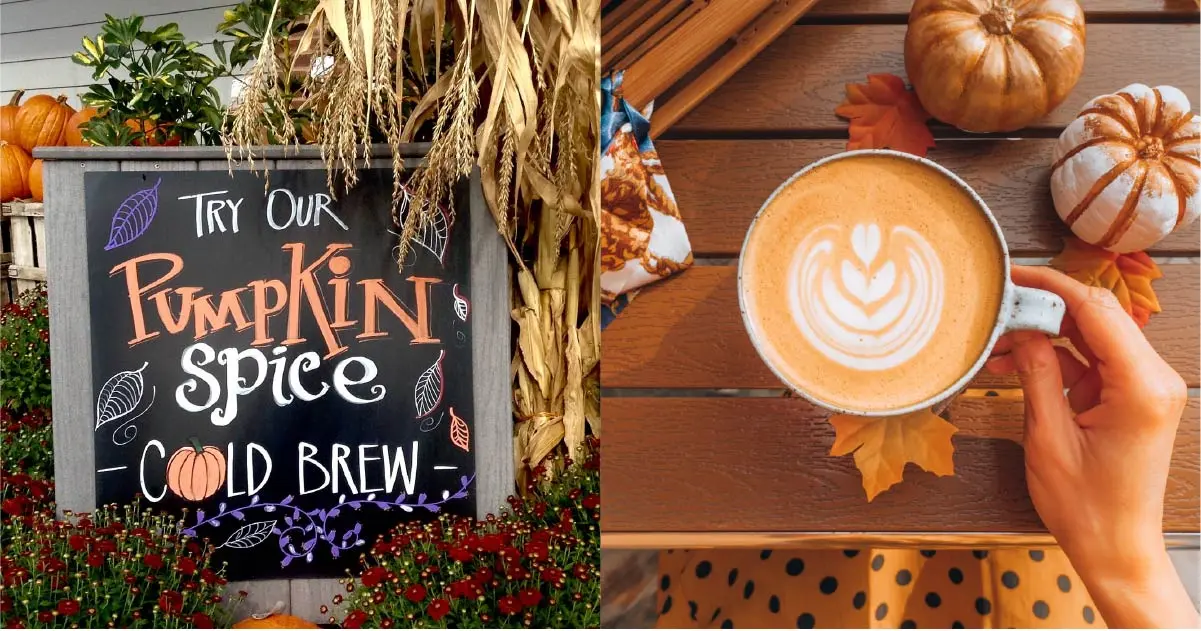 pumpkin spice cafe - Qué sabor tiene el Pumpkin Spice