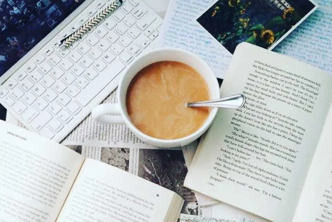 Estudiar Café: Una Pasión por el Conocimiento - Que se estudia en inefc estudiar cafe - Que se estudia en inefc