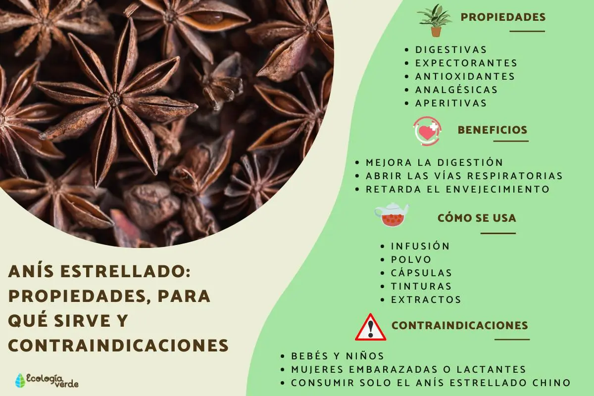Café con anís estrellado: una combinación deliciosa y beneficiosa - Qué se puede hacer con anís estrellado cafe con anis estrellado - Qué se puede hacer con anís estrellado