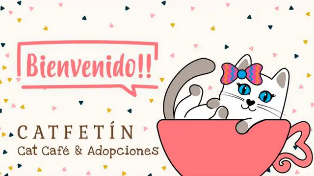 Café de gatos Tokio: una experiencia única en la cultura japonesa - Qué significa el gato café cafe de gatos tokio - Qué significa el gato café