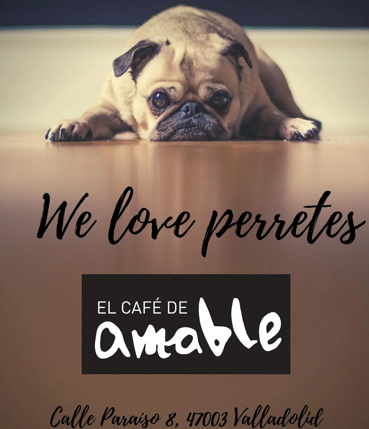 café bar donde admitan mascotas en valladolid - Qué significa que un restaurante sea pet friendly