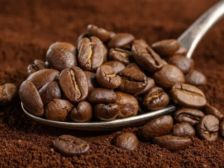 granito de café - Qué tipos de granos de café hay
