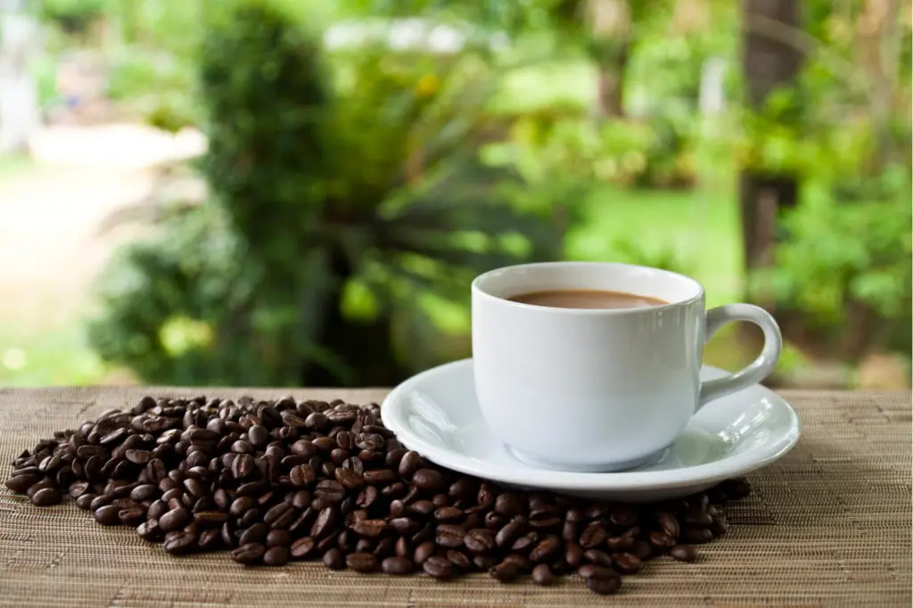 cafe de honduras - Quién trajo el café a Honduras