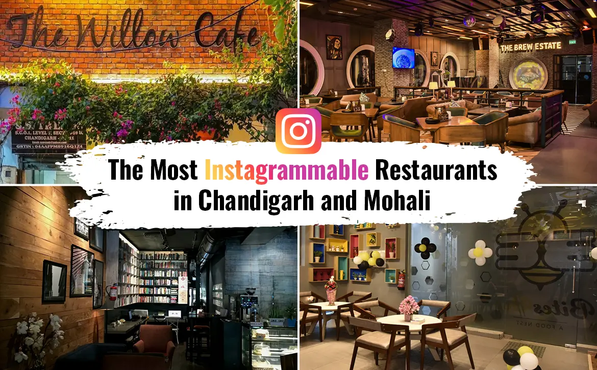 cafe in chandigarh - Why is Cafe famous